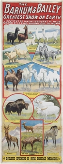1930s Ringling Brothers and Barnum & Bailey "Animals" Three-Sheet Linen Backed Movie Poster (40" x 82")
